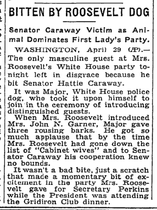 hjessy_'s tweet photo. April 29, 1933 — President Roosevelt's German Shepherd Major bites Senator Hattie Caraway of Arkansas. https://t.co/QKwBrTgqgo