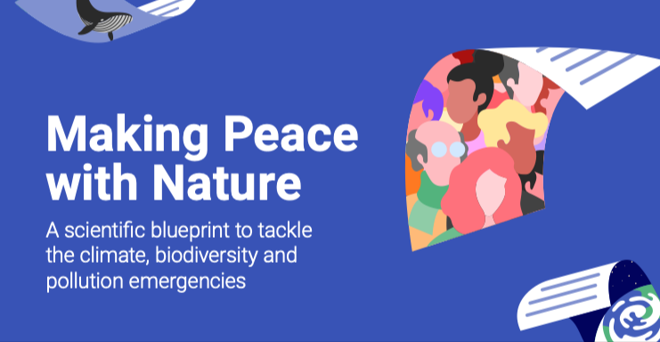 Duke_RDP's tweet photo. In its 2021 report "Making Peace with Nature", @UNEP urges societies "to include natural capital in decision-making, eliminate environmentally harmful subsidies and invest in the transition to a sustainable future."

https://t.co/dKdNC38cKW https://t.co/ngomxXKgPR