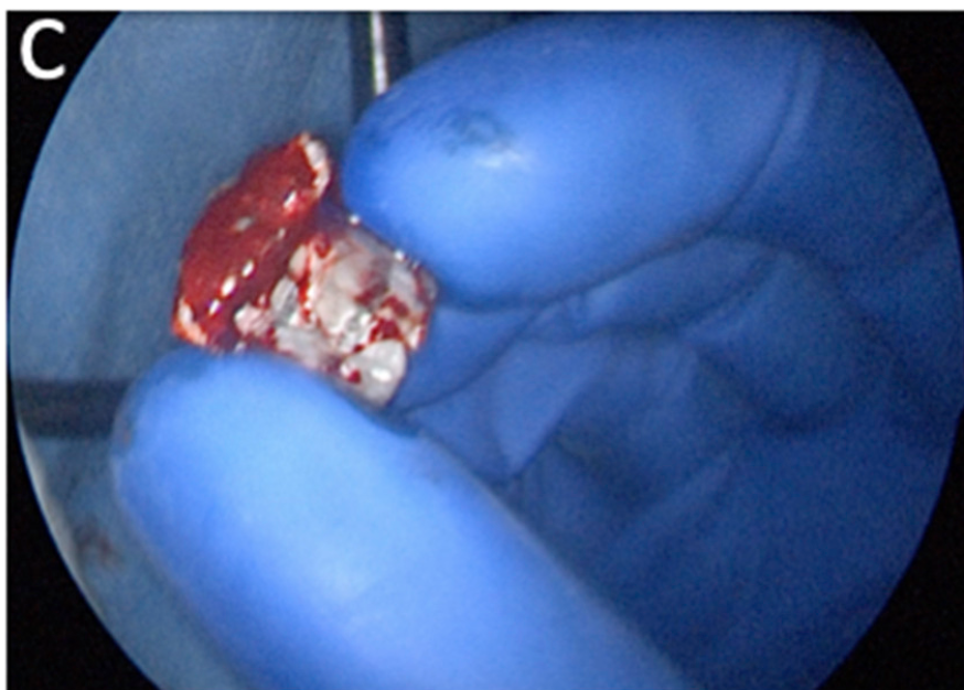 Viraj Shah, MD tweet media