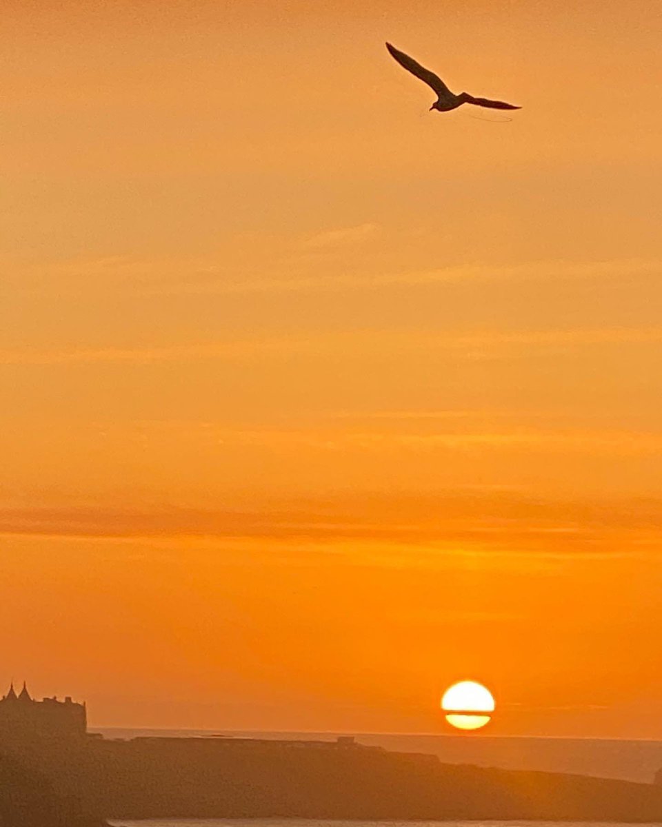 Oh those summer nights are already here! 
#sunset #beach #surf #beachholiday #beautifuldestinations #cornishholiday #picoftheday #instablogger #northcornwall #nofilterneeded #naturephotography #landscapephotography #newquaylife #bookdirect #guesthouse #sunshine #cocktailhour