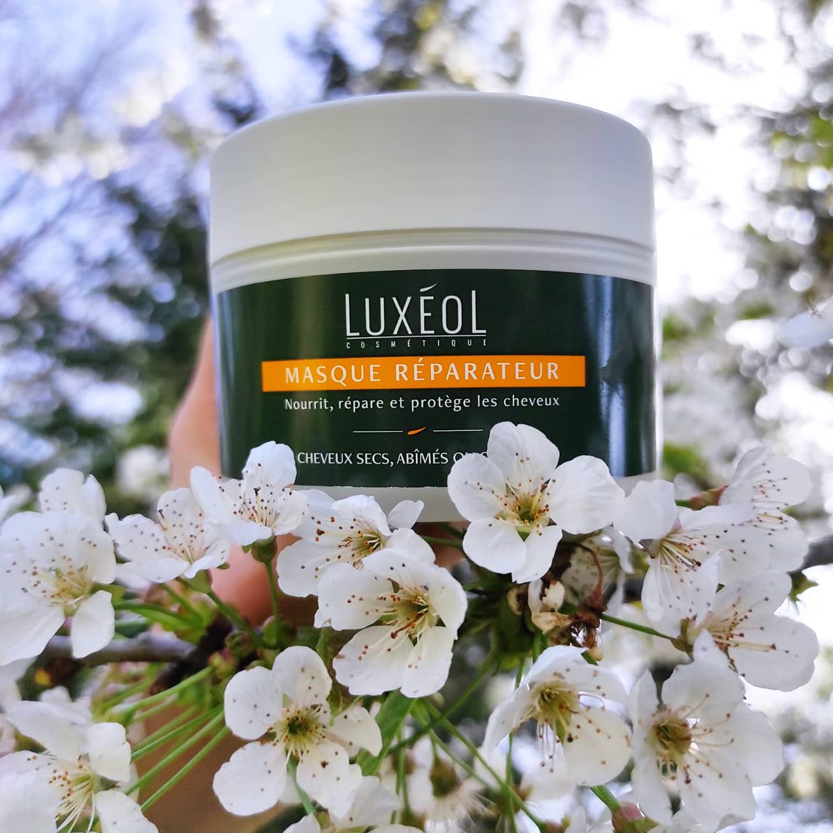 MissBeautests's tweet photo. Merci @luxeoloff  c'est un top pour mes cheveux 👍🌿🌼 #luxeol https://t.co/qOQXBzWWZn