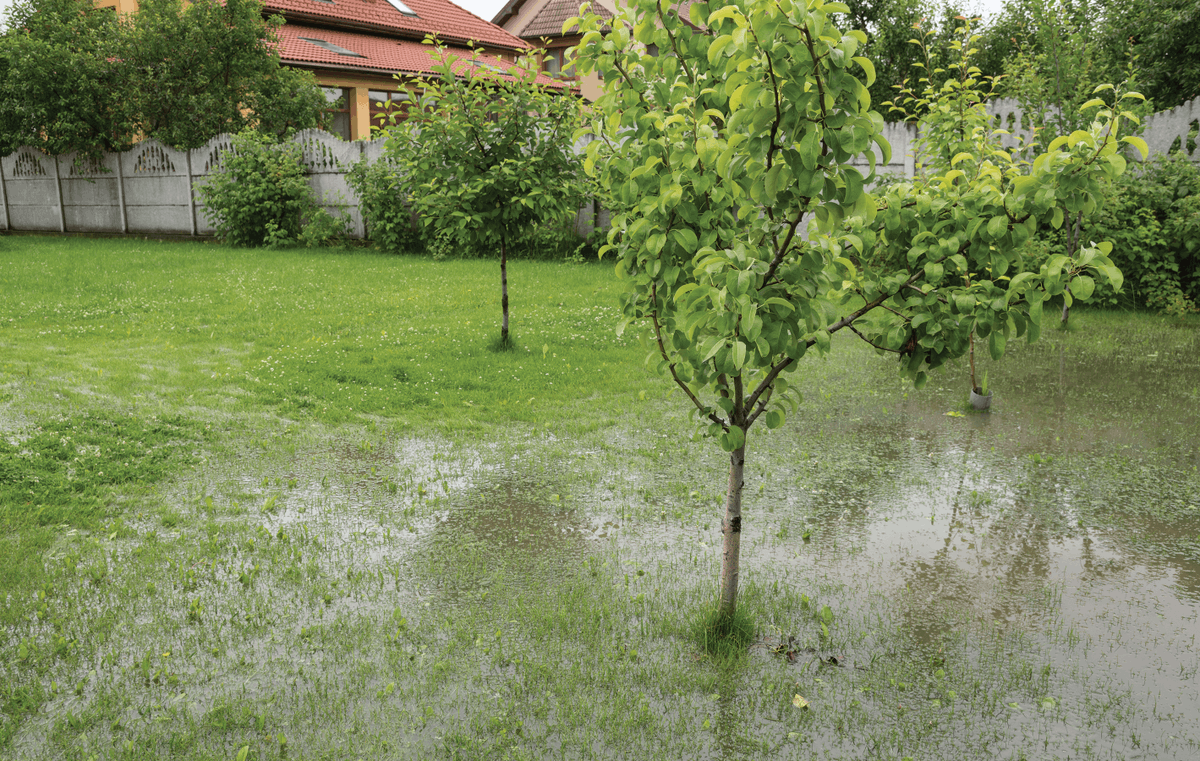 WINHomeInspect's tweet photo. Installing and maintaining proper home drainage systems is extremely important to avoid costly water damage. Read this article to learn more! https://t.co/GoaozqDJ60
#waterdrainage #homemaintenance https://t.co/cfCTiXf59n