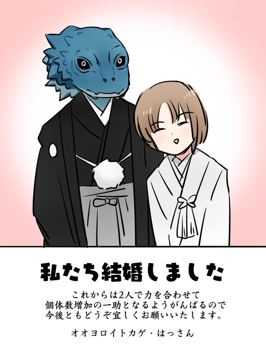 これは私が一応用意したやつ 