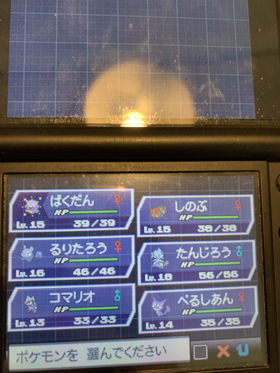 ヨッシー Vfky0y15rk79vas Twitter