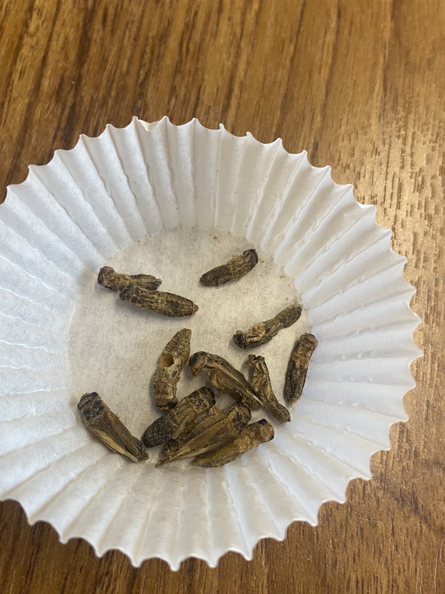 Pathways To Success tweet media