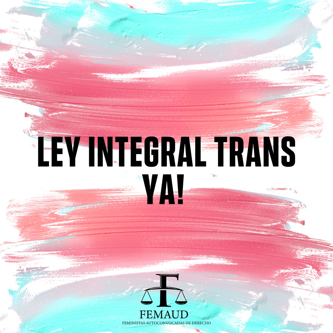 Femaud_unt's tweet photo. En el #DiaDeLaVisibilidadTrans exigimos #LeyIntegralTransYA y al Poder Ejecutivo de Tucumán que reglamente la Ley de Cupo e Inclusión Laboral para la comunidad Travesti Trans. https://t.co/XTkk82Z2Vs