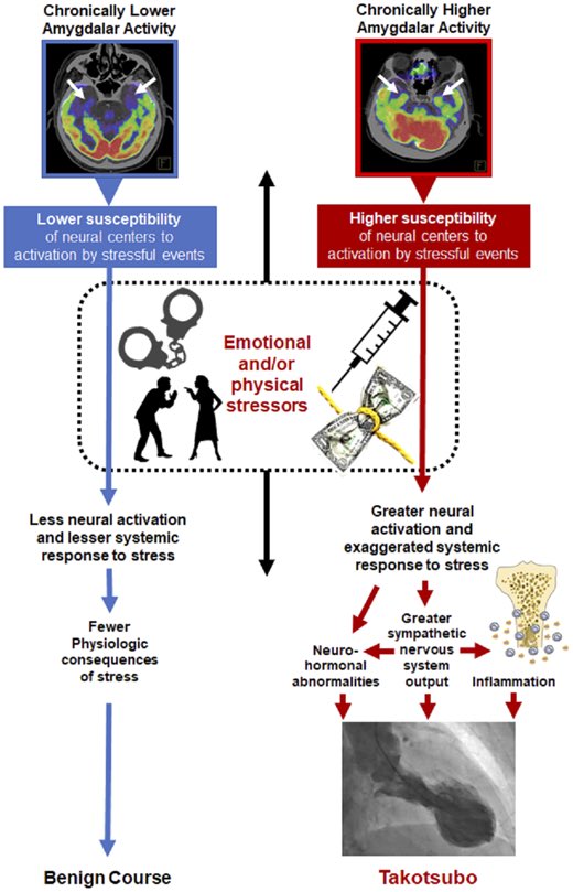 Ahmed Ghoneem, MD MSc tweet media