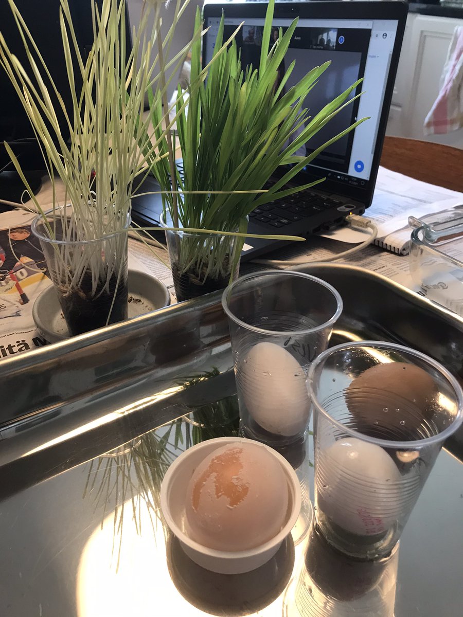 jmfiea's tweet photo. Lämmin kiitos @UniTurku lasten tiedekerhosta - neljä keskiviikkoiltaa ovat olleet täynnä niin oppia, oivallusta kuin suurta hupiakin 🧑‍🔬👍! https://t.co/pPTITeo2Ki