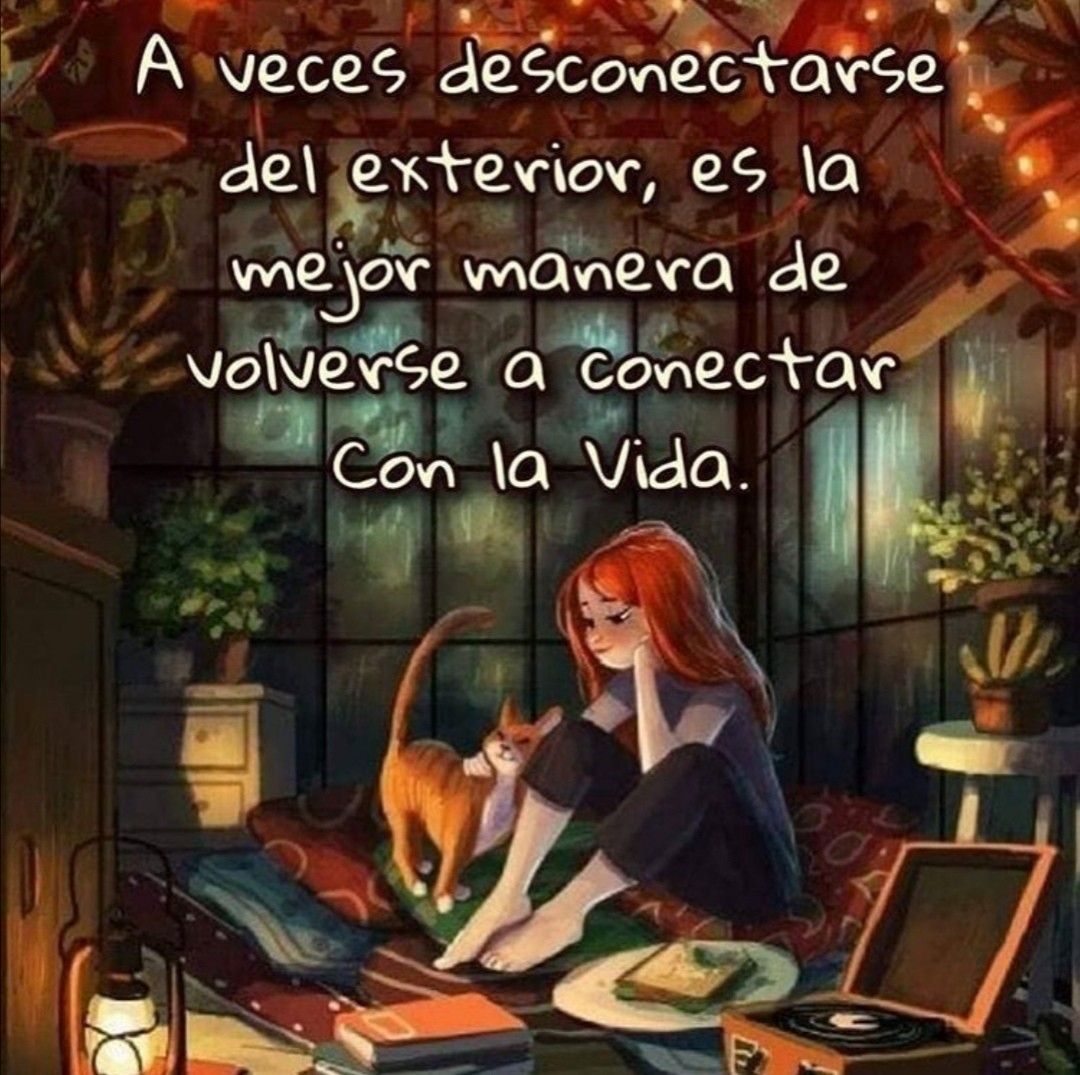 VicenteLaparra's tweet photo. A veces... https://t.co/2pNvqNFq3z