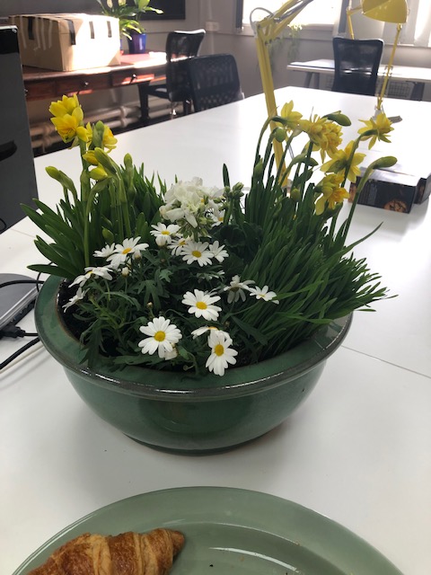 Sarah's last day - we'll miss you lovely