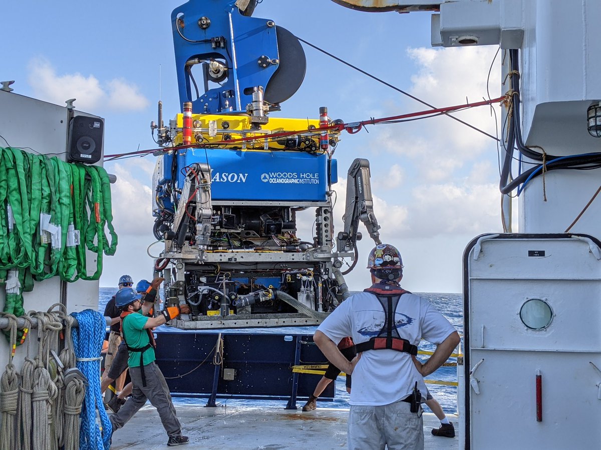 Carolyn Tepolt tweet media