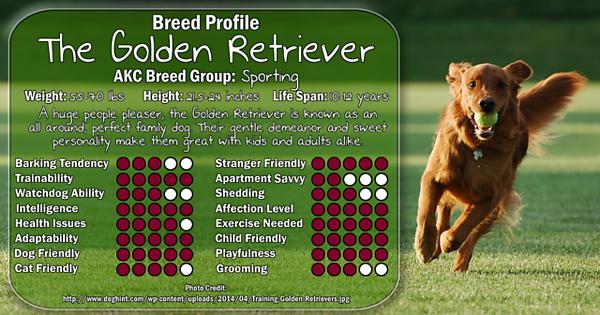 PackLeader01's tweet photo. Interesting facts to know about the different dog breeds. #dogTrainingTips
#dogBehavior
#DogProblems  https://t.co/DRWGajhCTW https://t.co/g4HgMPhJFj https://t.co/HyUbbNBHyg