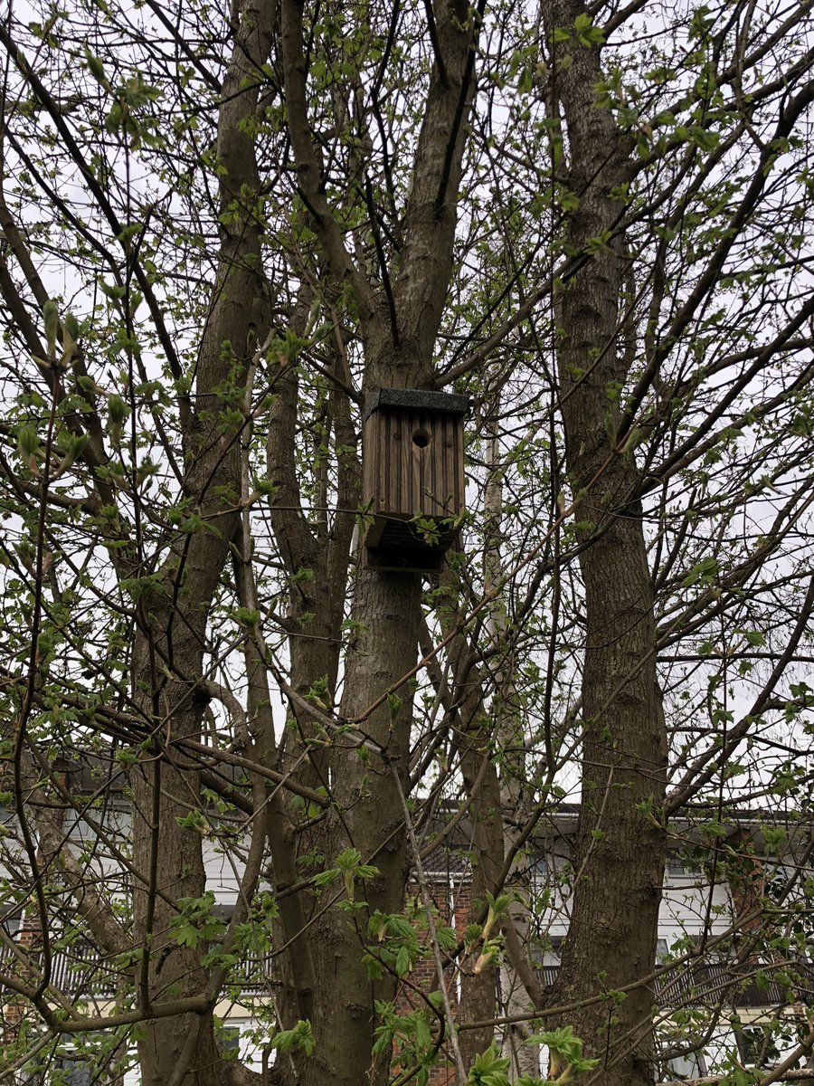 Thank you to <a href="/SavetheHouseSp1/">Save the House Sparrow</a> for our lovely bird box. The children are so excited to have a bird box outside their classroom window.