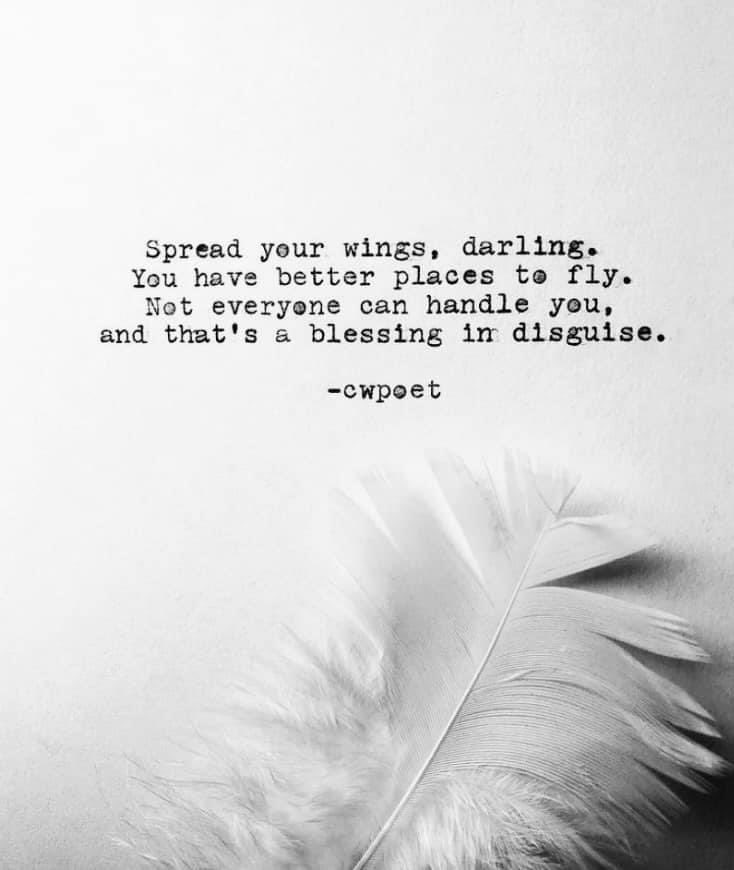 JadeSchojan's tweet photo. https://t.co/Bay0gv8j7z
