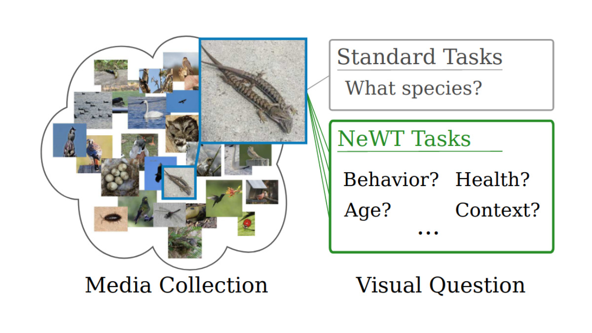 oisinmacaodha's tweet image. Really pleased to announce our upcoming @cvpr &apos;21 paper:

Benchmarking Representation Learning for Natural World Image Collections 
arxiv.org/abs/2103.16483 

#fgvc #cvpr