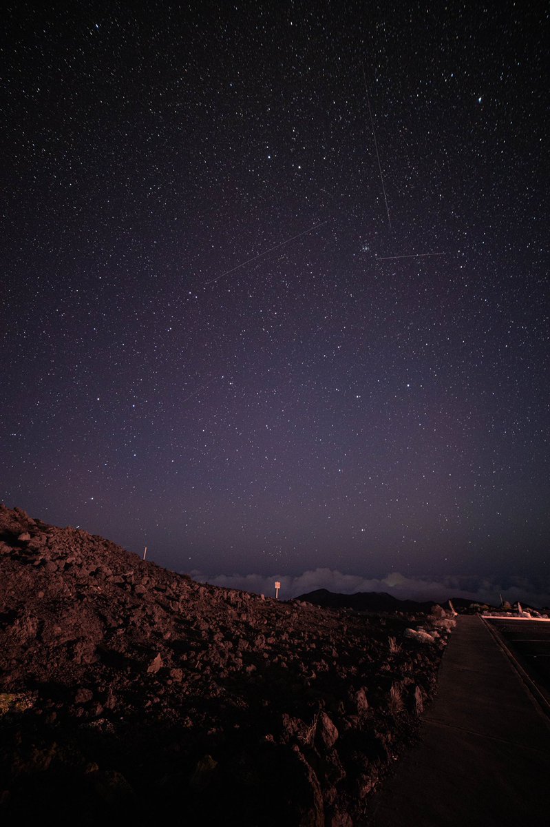 swaysview's tweet photo. All the stars in the universe don’t shine as bright as you #swaysview https://t.co/R5JVKasGVv