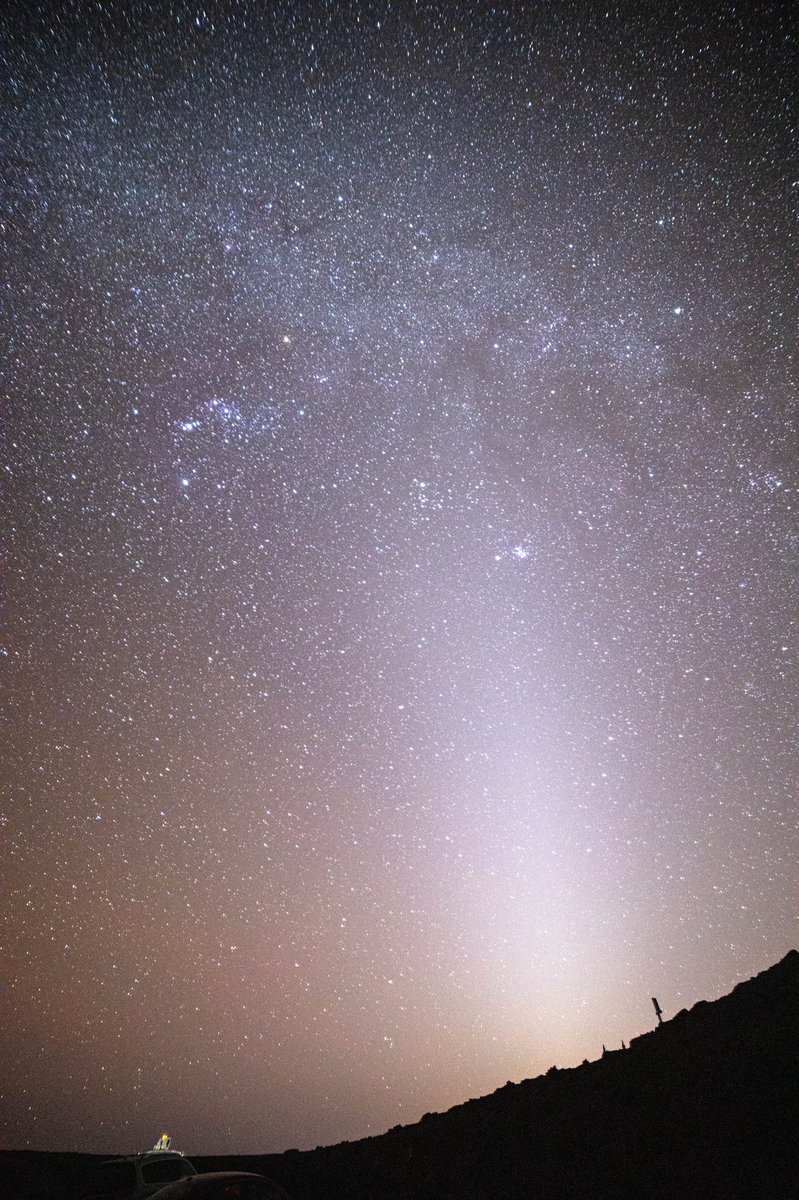 swaysview's tweet photo. All the stars in the universe don’t shine as bright as you #swaysview https://t.co/R5JVKasGVv