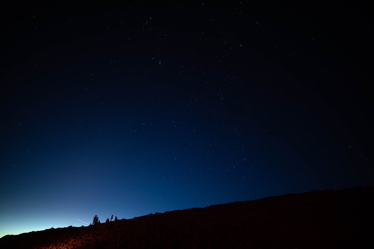 swaysview's tweet photo. All the stars in the universe don’t shine as bright as you #swaysview https://t.co/R5JVKasGVv