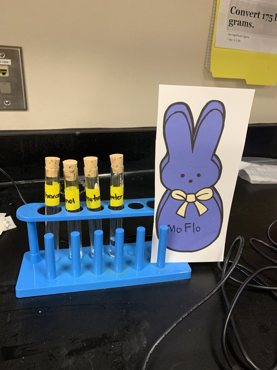 GRHSMrsFlores's tweet photo. Chem Team with Clue #3 done! #weareGR #peepchallenge https://t.co/yx8kPn1MmE