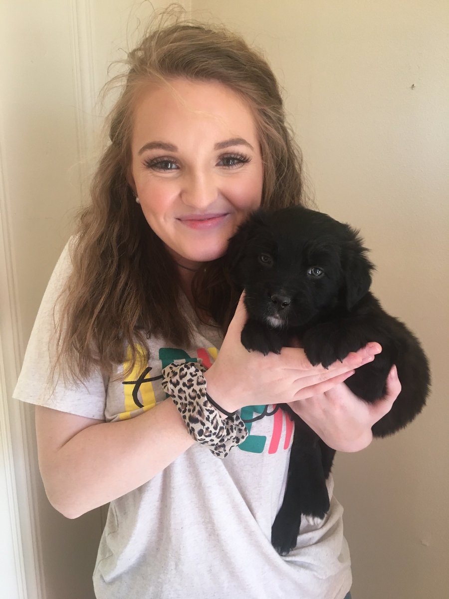 LathamMadison's tweet photo. Pup-date: Bentley Ray’s one year glow up. 🤪💕 https://t.co/mFRA3F4nBe