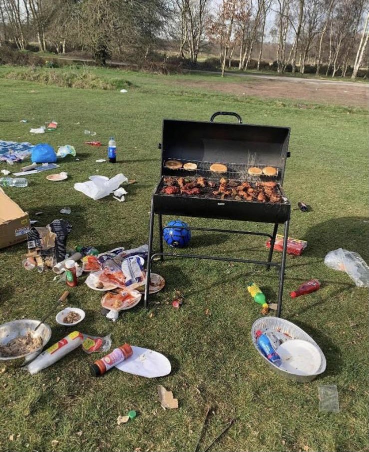 abby maltby tweet media