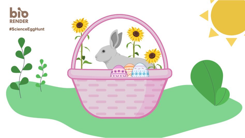 URmicro's tweet photo. Thanks for the break from grading @BioRender! That was a fun diversion. #ScienceEggHunt https://t.co/ULbNvLFTQ3