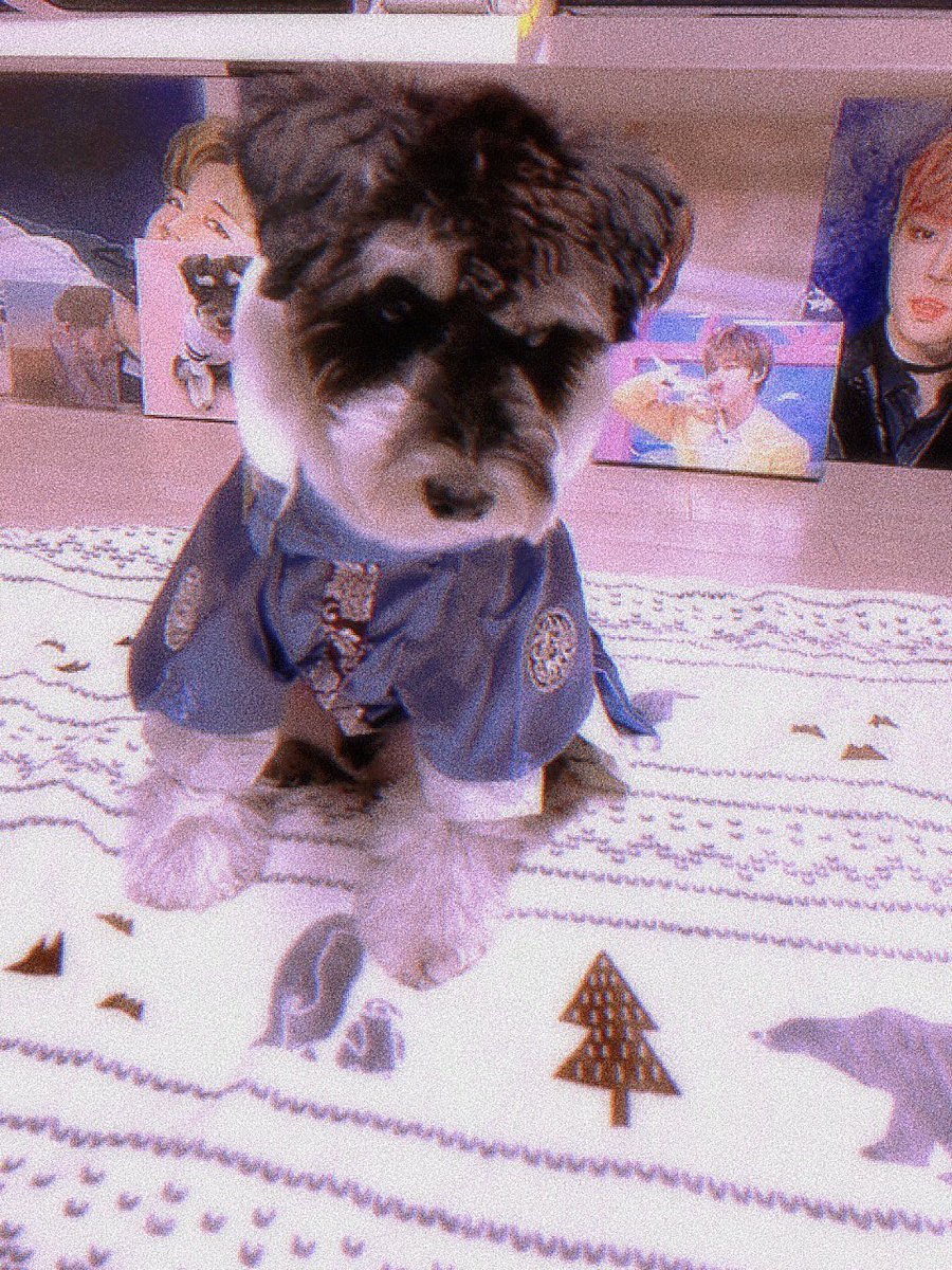 la_0529's tweet photo. #AprilFoolsDay 

맥스 없이 못 살아 🐶
#MAX #parkmax #ParkJihoon @Park_Jihoon_twt https://t.co/SJwRfJLsmQ