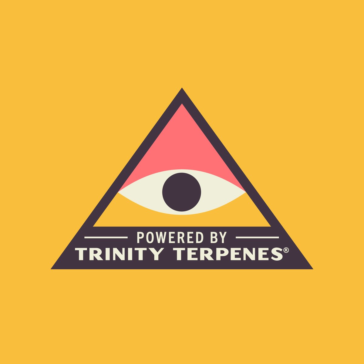 TrinityTerpenes's tweet photo. @HerHighnessnyc is one of our fav co-brand partners, owned and operated by women, for women! 💋

Shop ALL Her Highness goodies at https://t.co/7A2SD3W6kq 😍

https://t.co/8Mgxp3GfsY

#TrinityTerpenes #Terps #HerHighness #yourewelcome https://t.co/e6DdTnOBMA