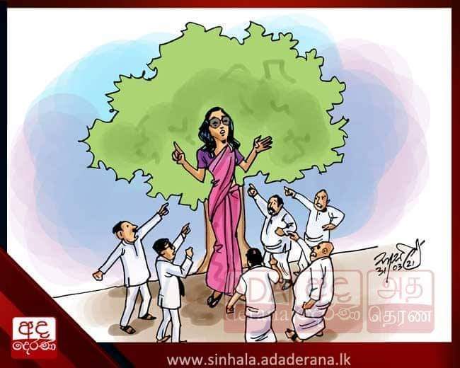 IsharaMadhu's tweet photo. State Min.Lanza gang up with others & continuously harass/bulling/attack to Devanee. She speaks about kadolana & they r talking about t dev. projects. She is explaining env law but they r not familiar with either law or t environment.This is t reality f #lka governance system🤷(1 https://t.co/6XDNmDDBKo