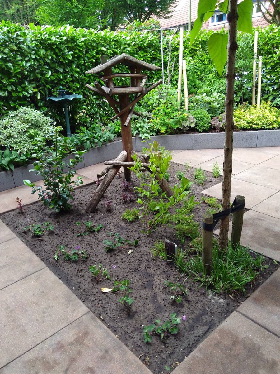 Een groener Amersfoort voor mens en dier, daar dromen wij van! En let maar op, die dromen gaan we waarmaken.💪🌿

We zijn alvast begonnen in onze eigen tuinen. Tegel eruit, groen erin!  

Doe jij ook mee? 🍀Sluit je aan!
Alle kleine bee(s)tjes helpen! 🦋🐝