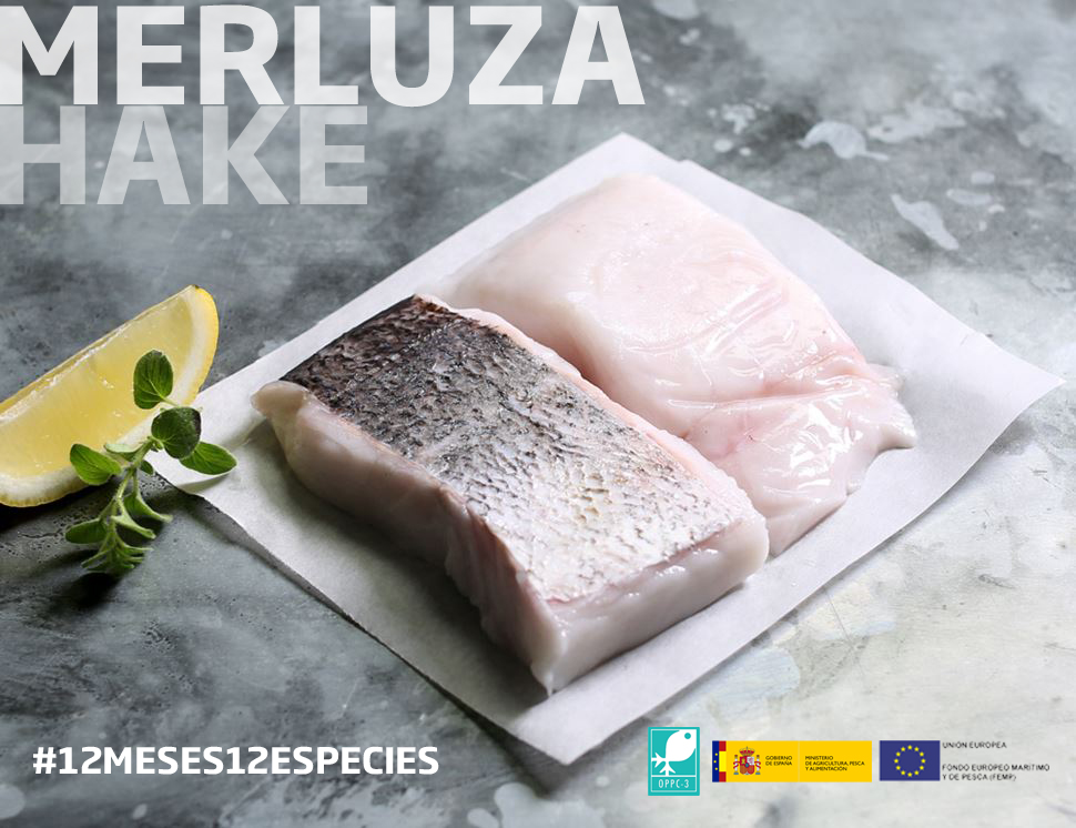 congeladoOPPC3's tweet photo. 💙 La merluza es una de los pescados más ricos y saludables. También es uno de vuestros favoritos. Pero os vamos a decir 3 beneficios que aporta y que a lo mejor no sabíais. 👇

#Pescado #Merluza #12meses12especies #OPPC3 https://t.co/pWOWaItaH2
