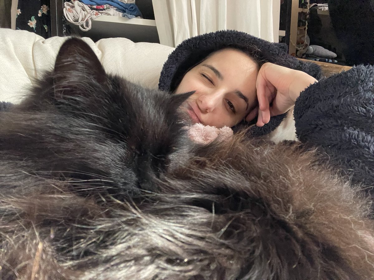 ChloeTarroux's tweet photo. @Stana_Katic A nap with my fluffy kitty😻 #WhatMakesUHappy https://t.co/7atAm7doiZ