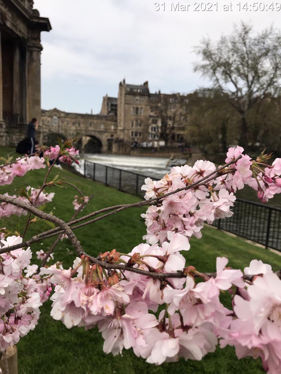 BathnesParks's tweet photo. Ready to greet you safely for a cuppa at Parade Gardens, Bath. On Parade. Bring proof of B&amp;NES residency for free entry to this beautiful park in the heart of Bath 🍰☕️🌸🌞 https://t.co/beisGq7Cdx