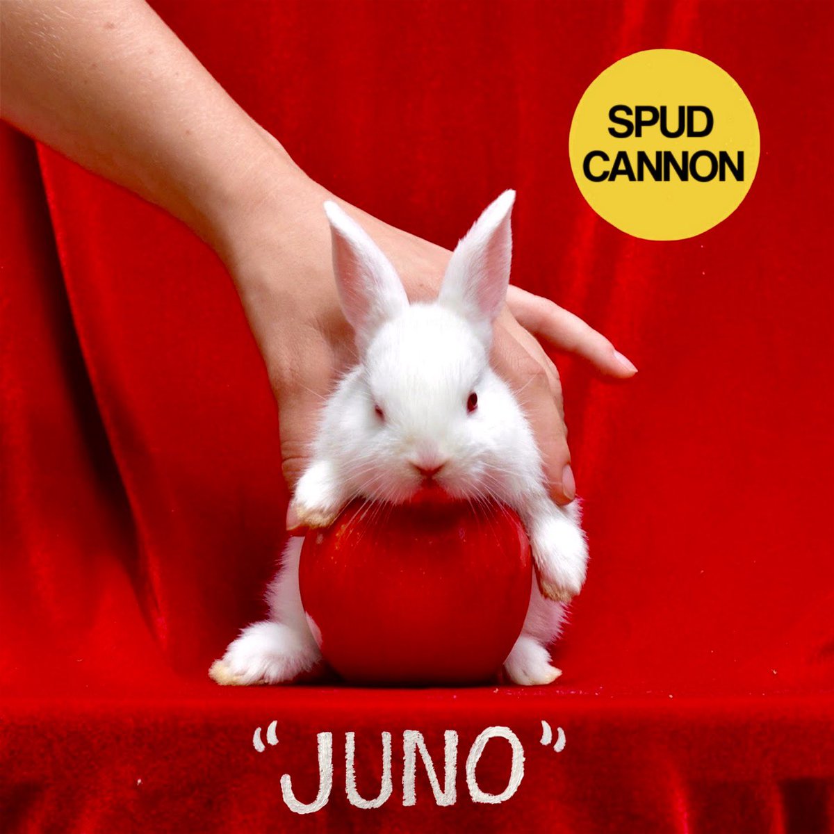 A song about clubbing the day before clubs in NY open up with a bunny on the cover right before Easter weekend.....god we’re good @goodeyerecords see you tomorrow.
