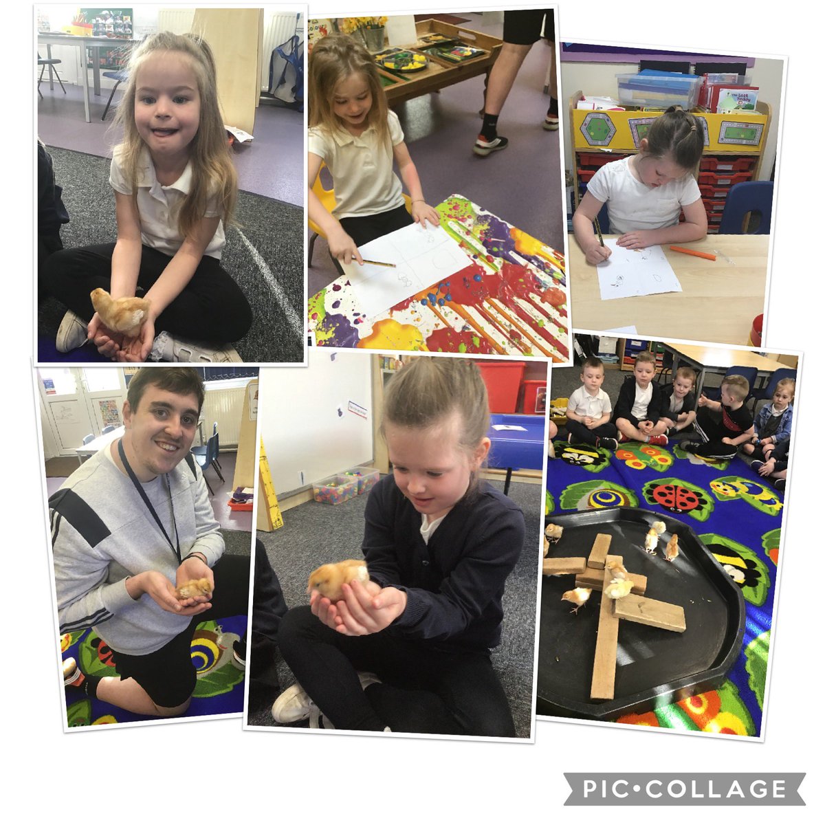 MrD_StHelens's tweet photo. We have absolutely loved having the chicks in FS1/2! We have learnt so much from having them, and today we drew what we learnt about their life cycle! 🐣

@AETAcademies @StHelensAcademy @HeadofSchoolSH @StHelensExecHT @MrsE_F2StHelens @ABCDoes @abigail_steel https://t.co/j6c10m0Ym4