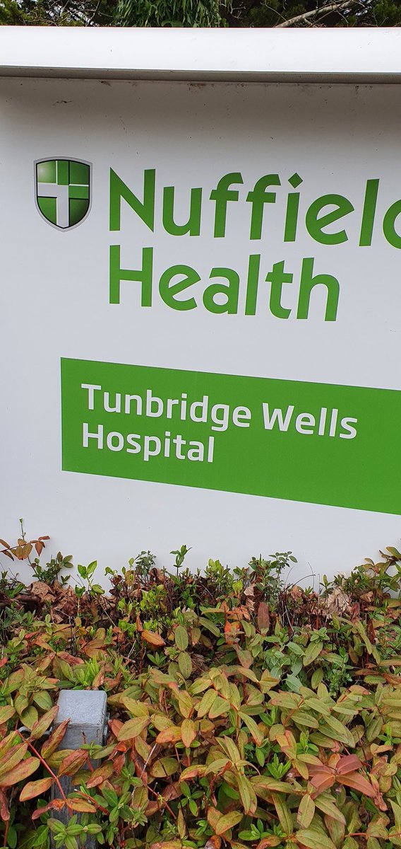 Lorraine Harris tweet media