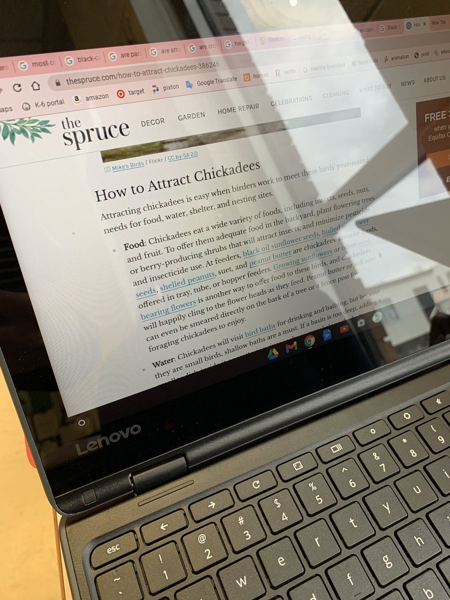 McIntyreOCSB's tweet photo. This flock is working on something...can you guess?🪶#WeAreWOLF @ocsbSEP @StBrAndreOCSB @OCSBeco https://t.co/jWbyuJ0KKV