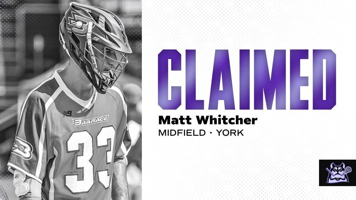 Philadelphia Waterdogs tweet media