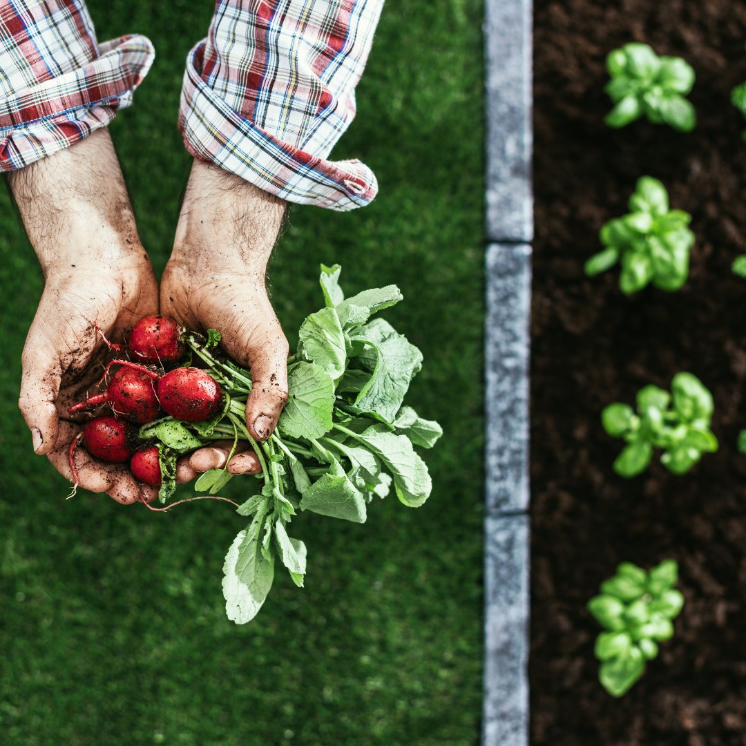 Sun Valley Institute tweet media