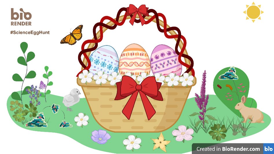 VasviChaudhry's tweet photo. Fun Easter game #ScienceEggHunt @BioRender @ShizAoki #Amazingtool #coolicons #biorender
Happy Easter! 🥚🐇🐰 https://t.co/uvfEWy7rbg