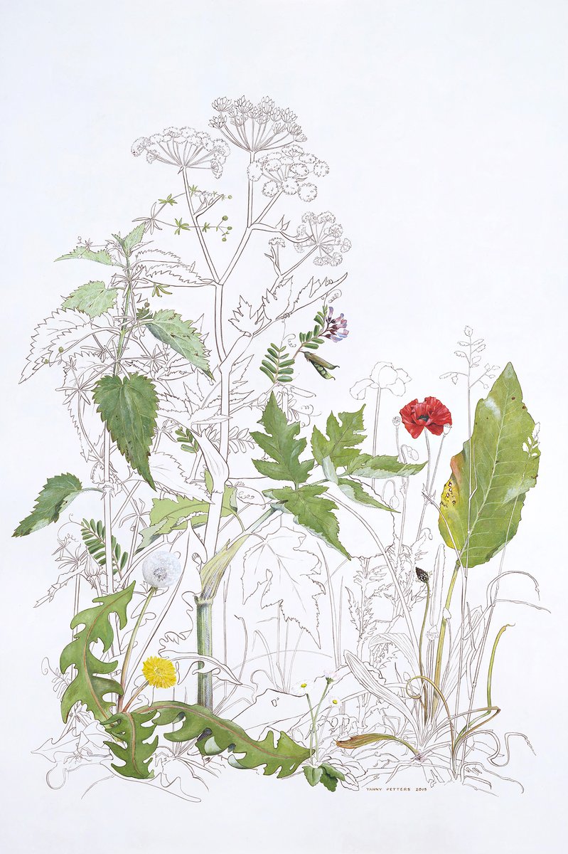 We're delighted to finish today's thread with a beautiful new addition to our collection by the Wicklow-based botanical portraitist Yanny Petters, called The Plants We Played With.  https://www.nationalgallery.ie/art-and-artists/highlights-collection/yanny-petters-plants-we-played