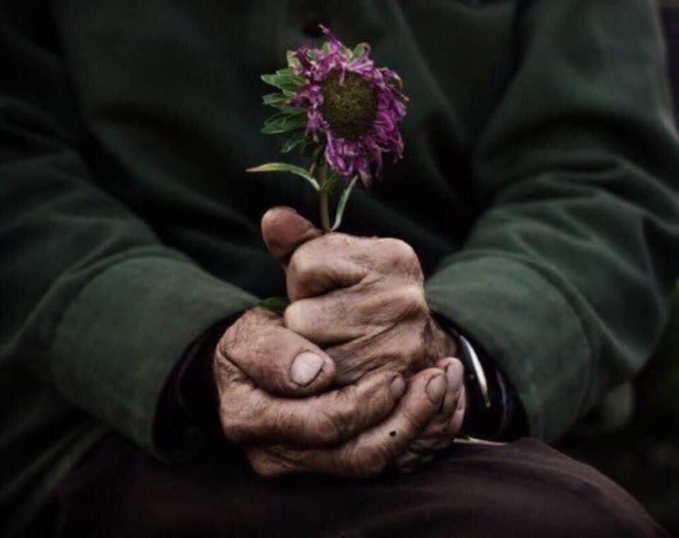 PardueSuzanne's tweet photo. Do not judge by appearances;
a rich heart may be under a
poor coat...

- Scottish Proverb https://t.co/ESXoypDA8D