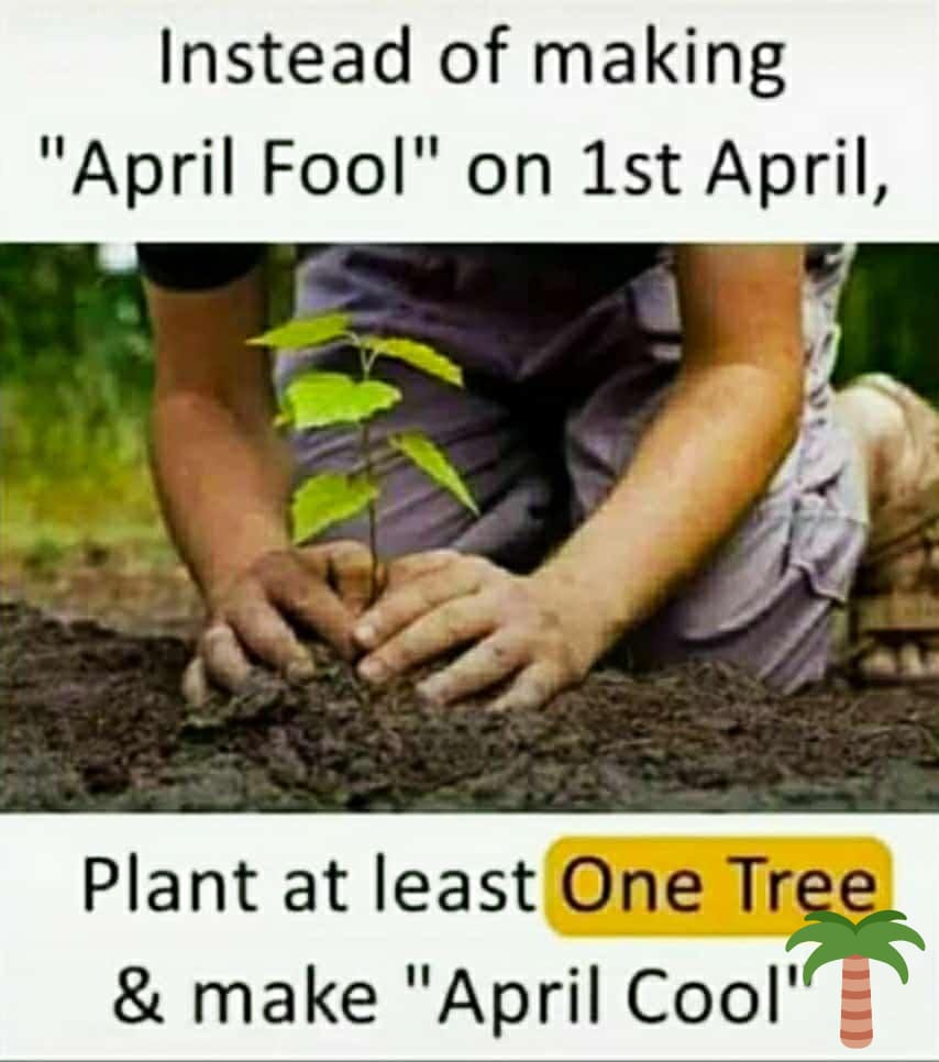 Find every moment or #opportunity to do something for our #environment 🤪 even if its #AprilFoolsDay 

@Fridays4future @fridays_kenya @FFFMAPA
#Aprilcool #trees #ClimateRecovery #climatesavers #ClimateAction #ClimateCrisis #NoMoreEmptyPromises #conservation #sustainability