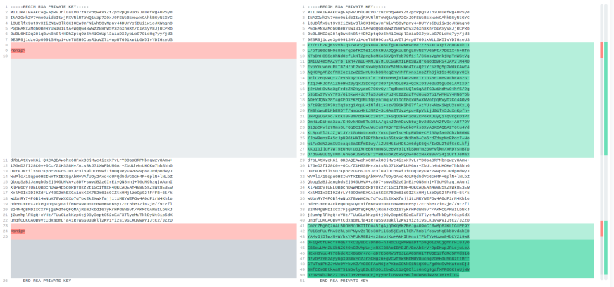 elhackernet tweet picture