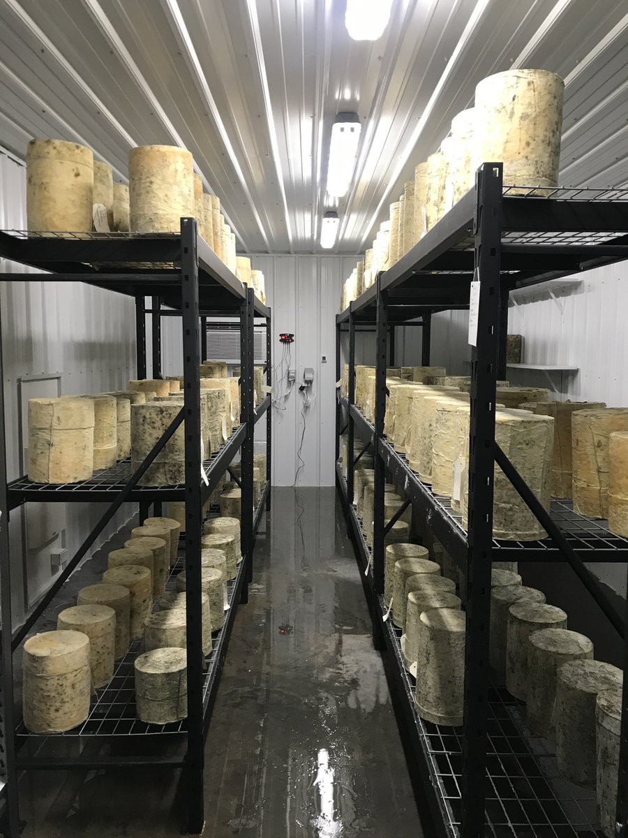 Alice_Dairyland's tweet photo. Earlier this month I visited the farm of Inga Witscher, the host of  #AroundTheFarmTable which plays on Wisconsin Public Television @PBSWI. 💙🎉

Learn more at https://t.co/fmwGdTXmoo!🎉
#wisconsincheese #proudlywisconsin #73rdalice
Picture by Photo by Joe Maurer https://t.co/2QXyCUNIO7