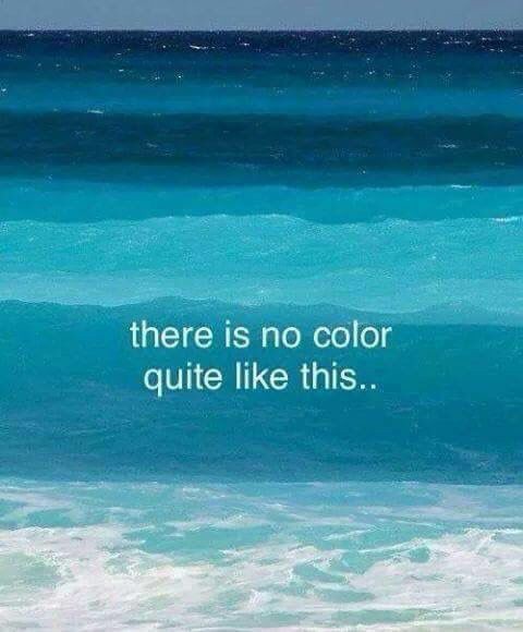 ChildCandles's tweet photo. 🐚💙🌊 #turquoise https://t.co/WkByK6C7cM