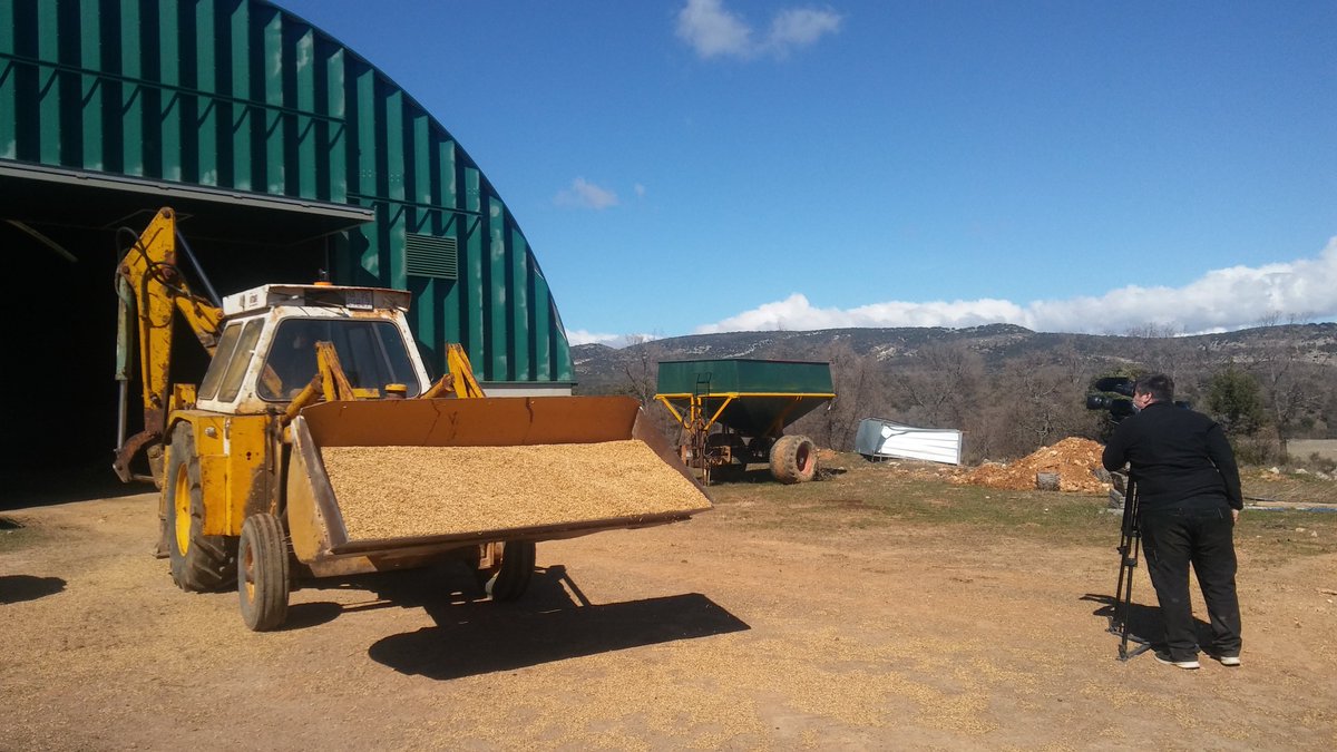 Temperotv's tweet photo. 🎥¡Llegó el momento de avanzaros otro de los reportajes para el fin de semana! Nos desplazaremos hasta #Berdejo, en el #ValledelManubles, para ver cómo se trabaja allí el cultivo de la #espeltaecológica, un cereal cada vez con mayor demanda... Sábado (15:15 h), en @aragontv https://t.co/CRV40FLGxr