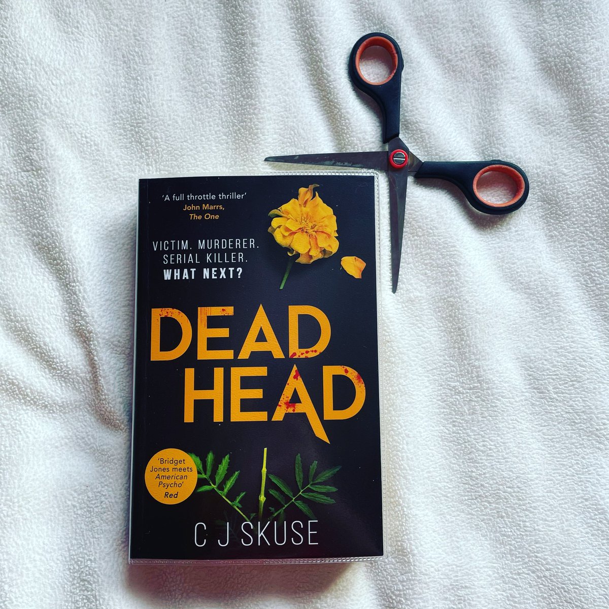 kimreadsstuff's tweet photo. So excited to have finally been able to pick this up from the #library yesterday! ☺️ Been so looking forward to reading it, just got to finish my current read!
#deadhead #cjskuse #sweetpea #inbloom #rhiannonlewis #nextread #librarybooks #nuneatonlibrary #nuneaton #amreading https://t.co/lGoBjO93Le