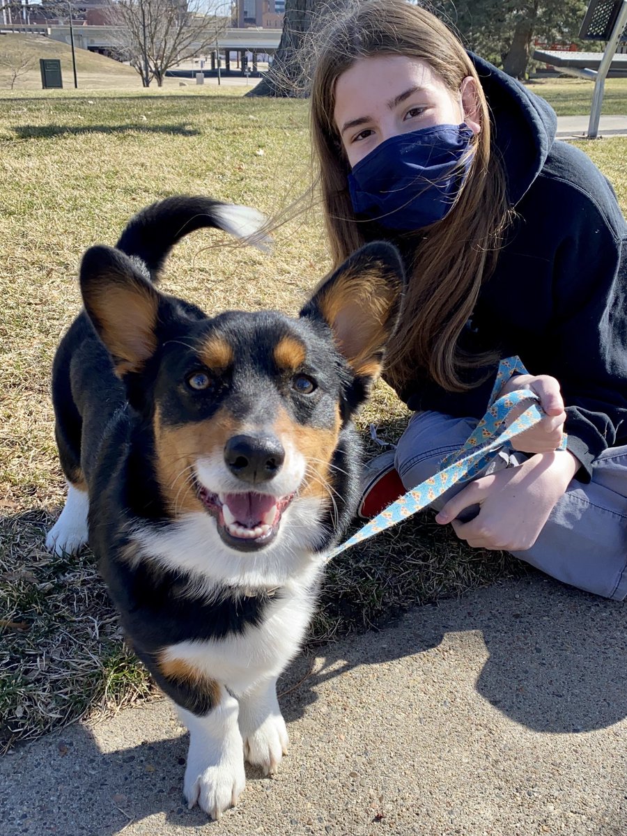 Siân Jones🐳 (@sianameliajones) | Twitter