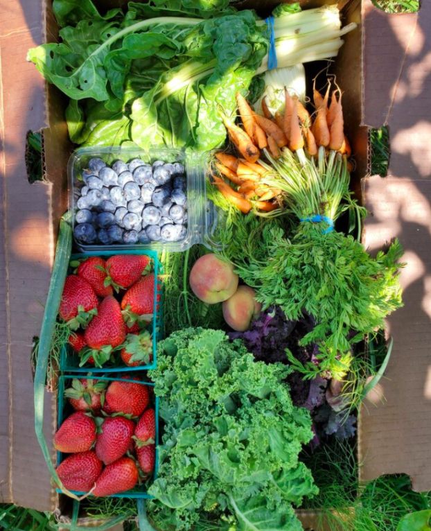 SFCCInitiative's tweet photo. A perfect pairing: Reserve a few cookbooks to pick-up from the Main Branch of the @SFPublicLibrary #sfpltogo and then grab some ingredients from the @HeartoftheCity (today!) and see what meal ends up on your table! #heartofthecityfm https://t.co/VF3LK9e8kb